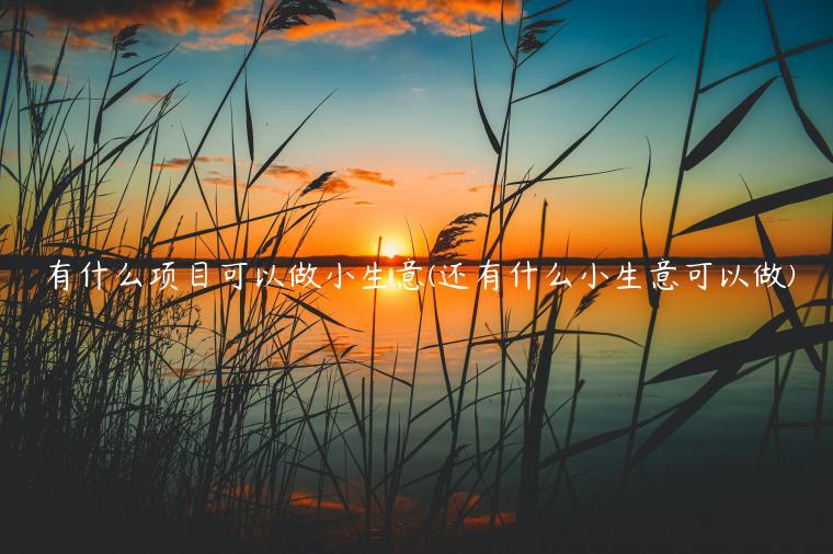 有什么项目可以做小生意(还有什么小生意可以做) 有什么项目可以做小生意(还有什么小生意可以做)