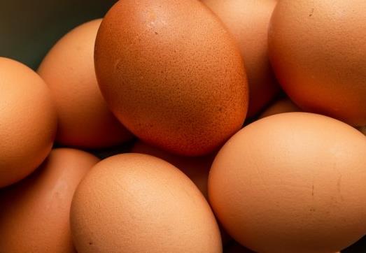 台媒:岛内蛋价持续飙涨