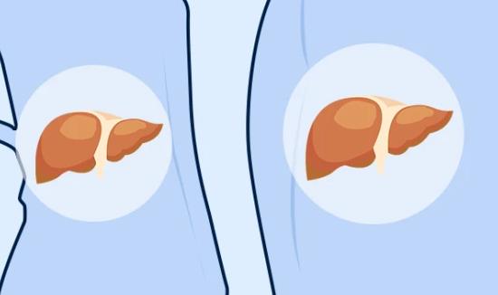 身体出现哪些异常是肝脏在预警