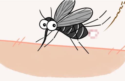 O型血更招蚊子是谣言-o型血招蚊子有科学依据吗