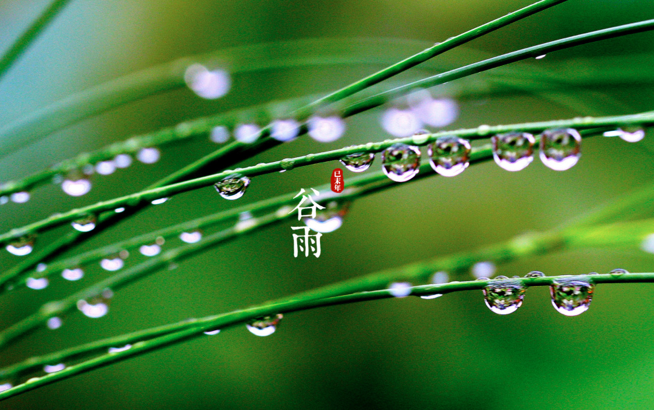 谷雨节气给领导祝福语-谷雨节气给客户发的问候