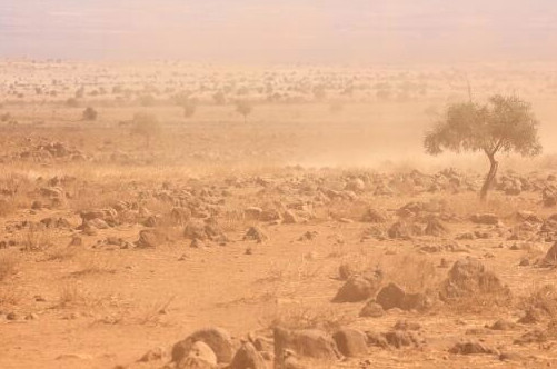 新一轮沙尘影响15省区市-沙尘暴为什么不能根治