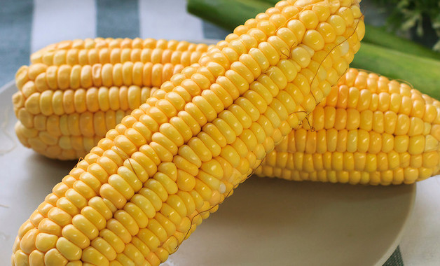 新鲜玉米如何长期保存