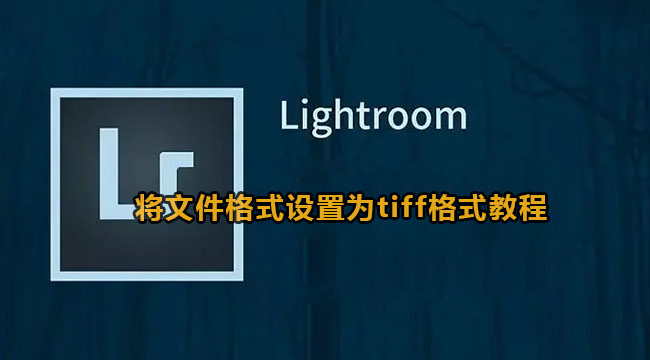 lightroom将文件格式设置为tiff格式教程