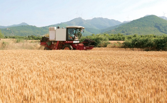 河南麦收季遇10年最严重“烂场雨”
