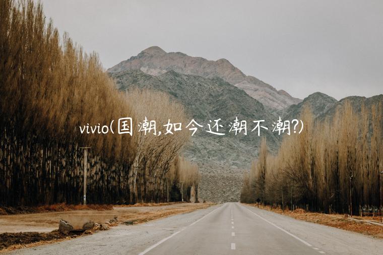 vivio(国潮,如今还潮不潮?)