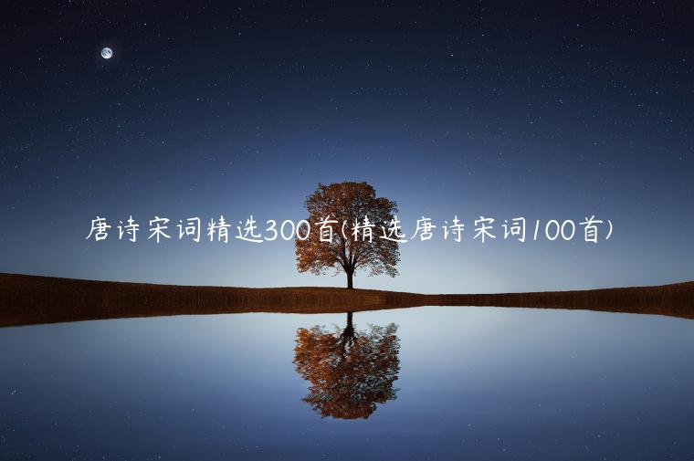 唐诗宋词精选300首(精选唐诗宋词100首)