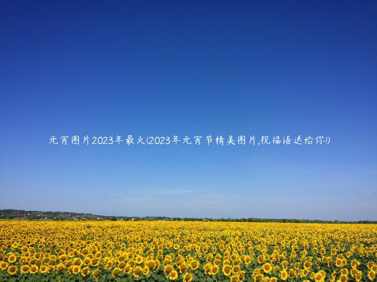 元宵图片2023年最火(2023年元宵节精美图片,祝福语送给你!)