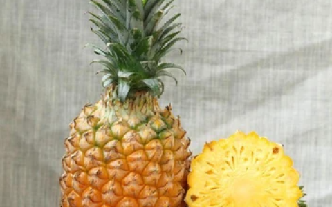凤梨和菠萝的区别：如何区分凤梨和菠萝？